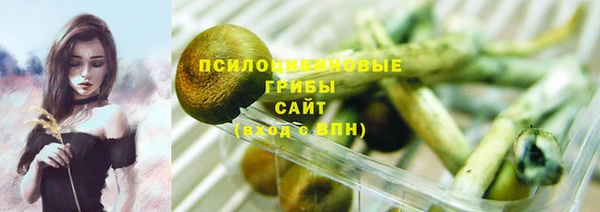 ешки Алексеевка