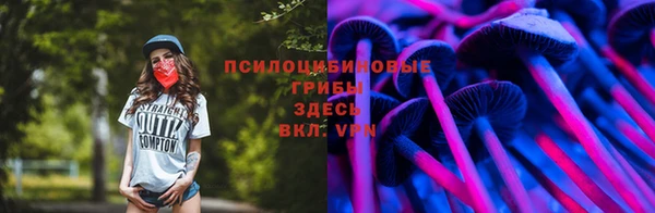 герыч Алексин