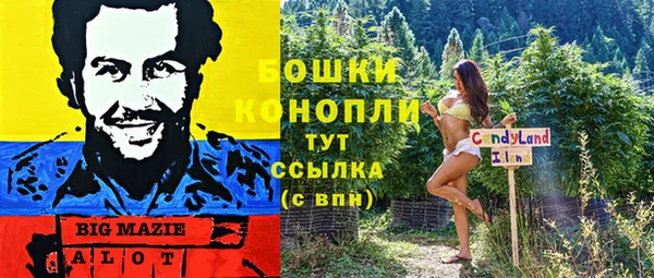 эйфоретик Алзамай