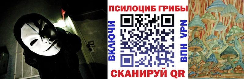 ОМГ ОМГ как зайти  Менделеевск  Галлюциногенные грибы Magic Shrooms 