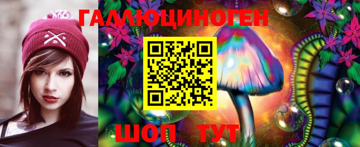 Менделеевск  что такое наркотик  Галлюциногенные грибы ЛСД  Вход с VPN  Псилоцибиновые грибы Psilocybine cubensis 